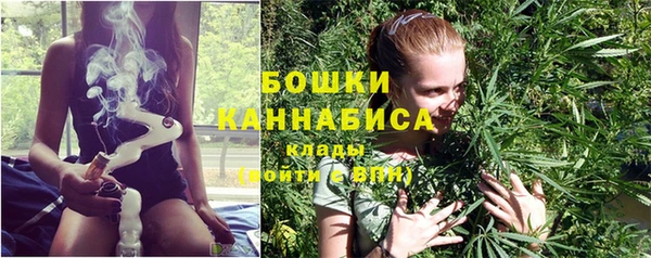 сатива Абаза