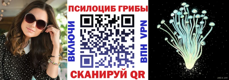 мориарти телеграм MEGA tor Псилоцибиновые грибы ЛСД Новосибирск что такое
