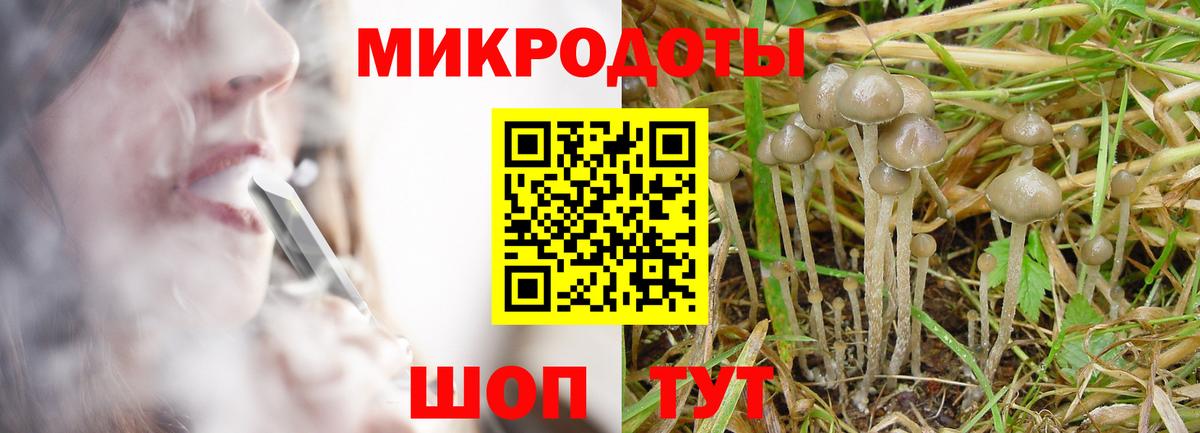 Новосибирск  Псилоцибиновые грибы мицелий  Вход с VPN 
