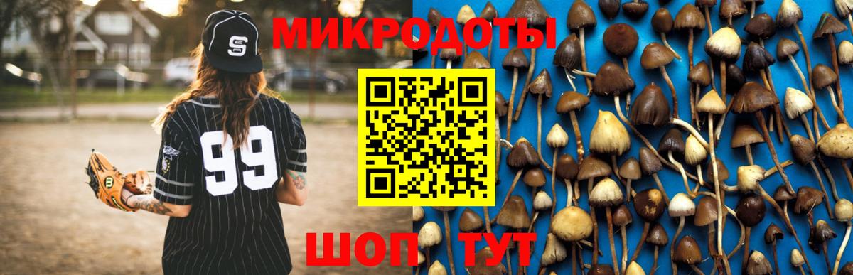 Новосибирск  Галлюциногенные грибы GOLDEN TEACHER  Псилоцибиновые грибы MAGIC MUSHROOMS  наркотики  Вход с VPN 