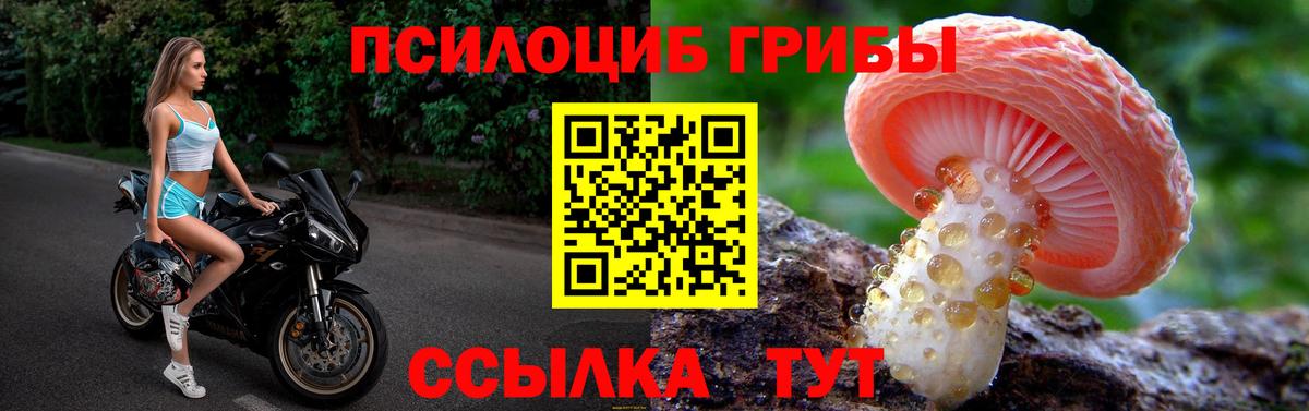 Псилоцибиновые грибы GOLDEN TEACHER Новосибирск