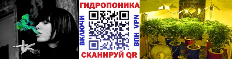 МАРИХУАНА Bruce Banner Новосибирск