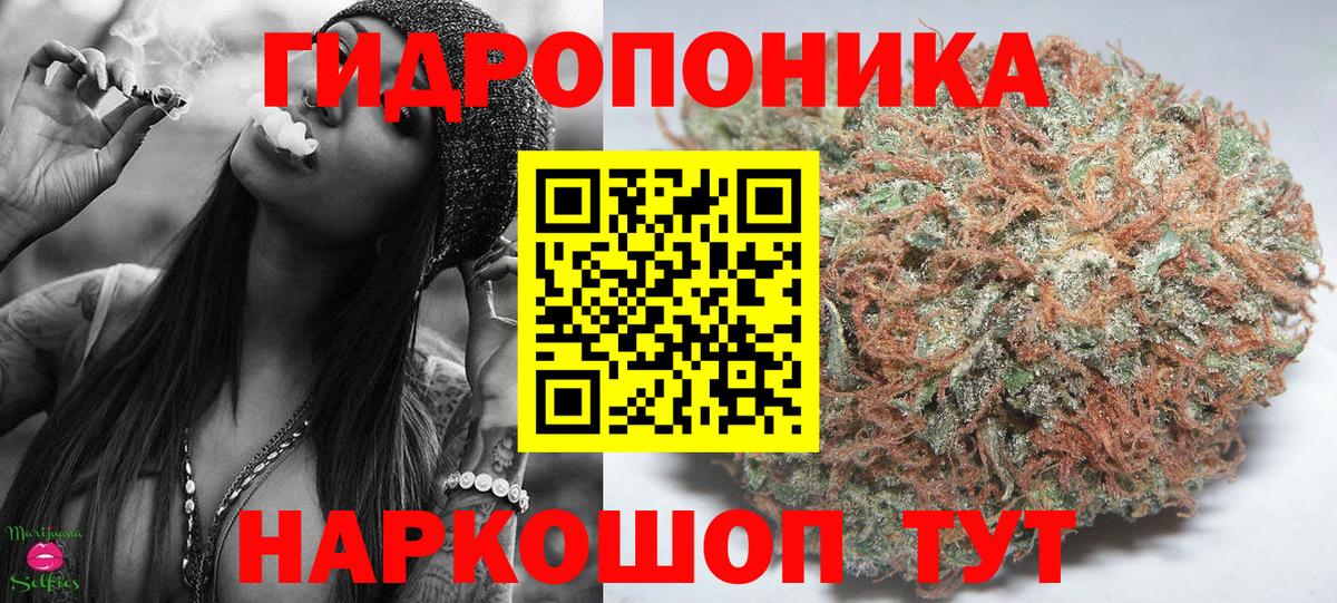 Марихуана AK-47  Вход с VPN  Конопля гибрид  Новосибирск  Марихуана тримм 